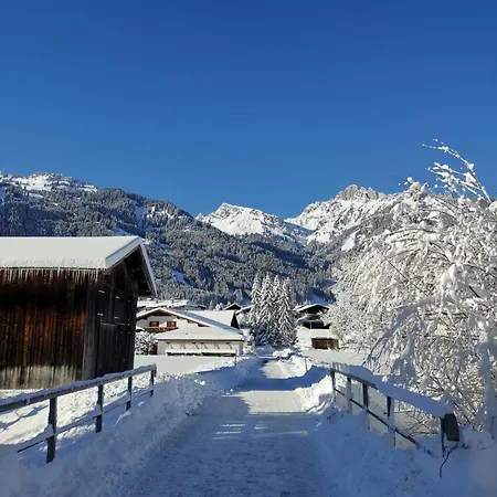 Alpapart Hornberg Hofen Exterior photo
