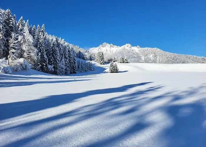 Alpapart Hornberg