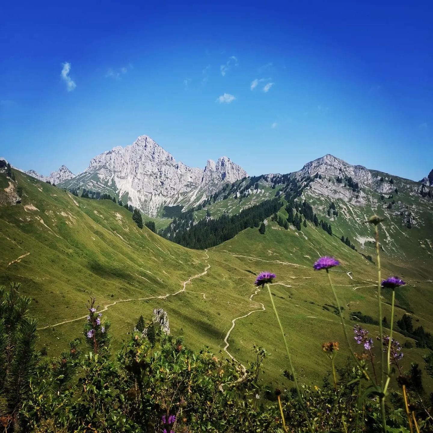 Alpapart Hornberg Hofen
