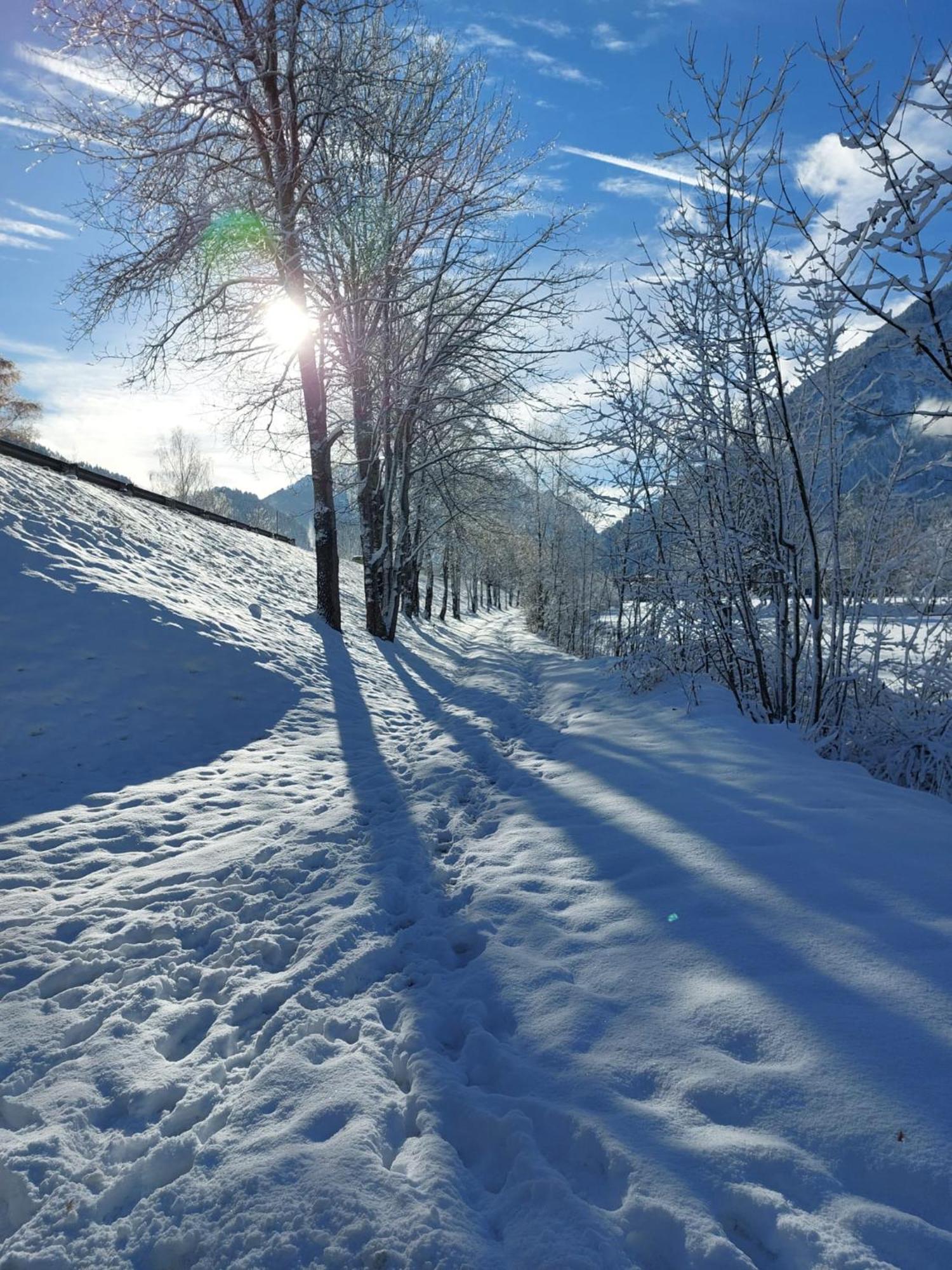 Alpapart Hornberg