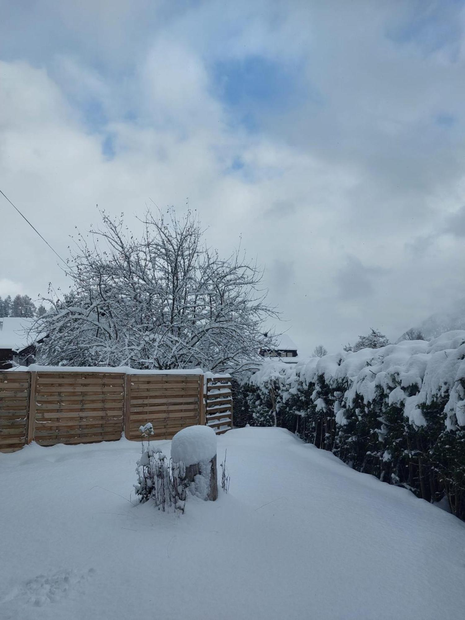 Apartament Alpapart Hornberg *