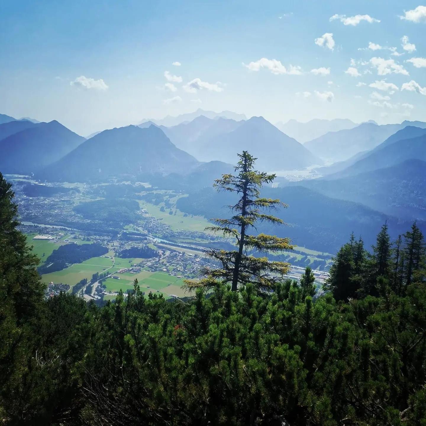 Alpapart Hornberg