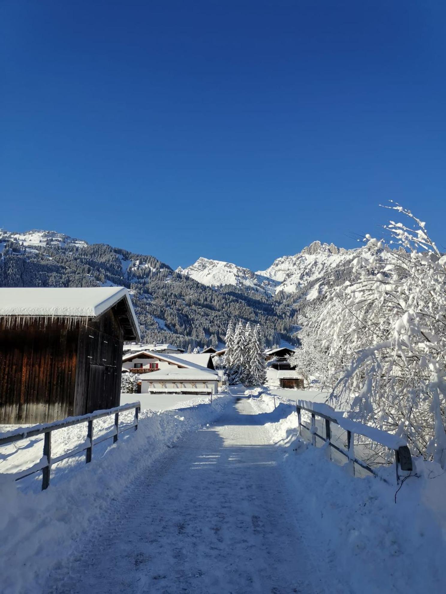 Alpapart Hornberg Apartment