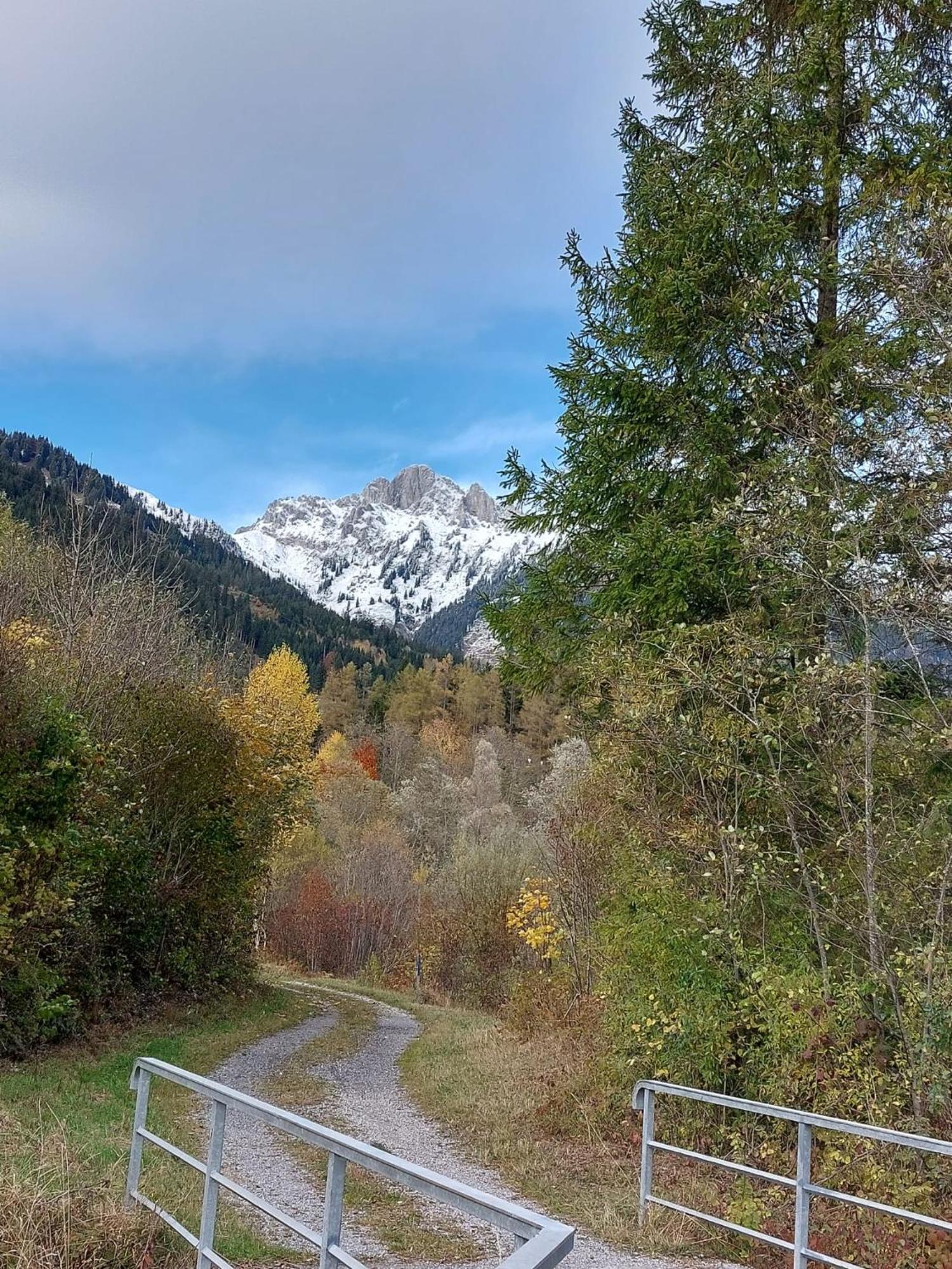 Apartament Alpapart Hornberg