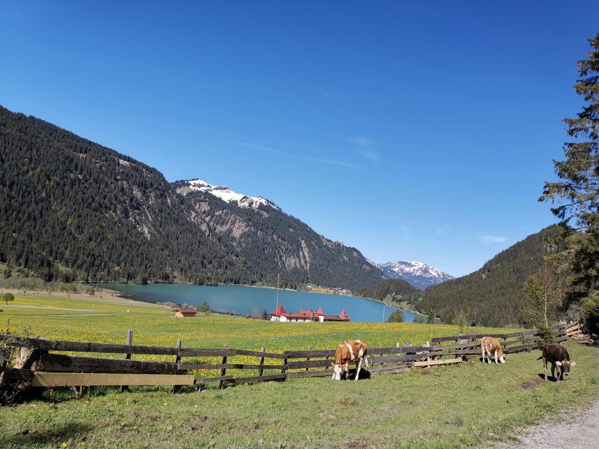 Apartament Alpapart Hornberg