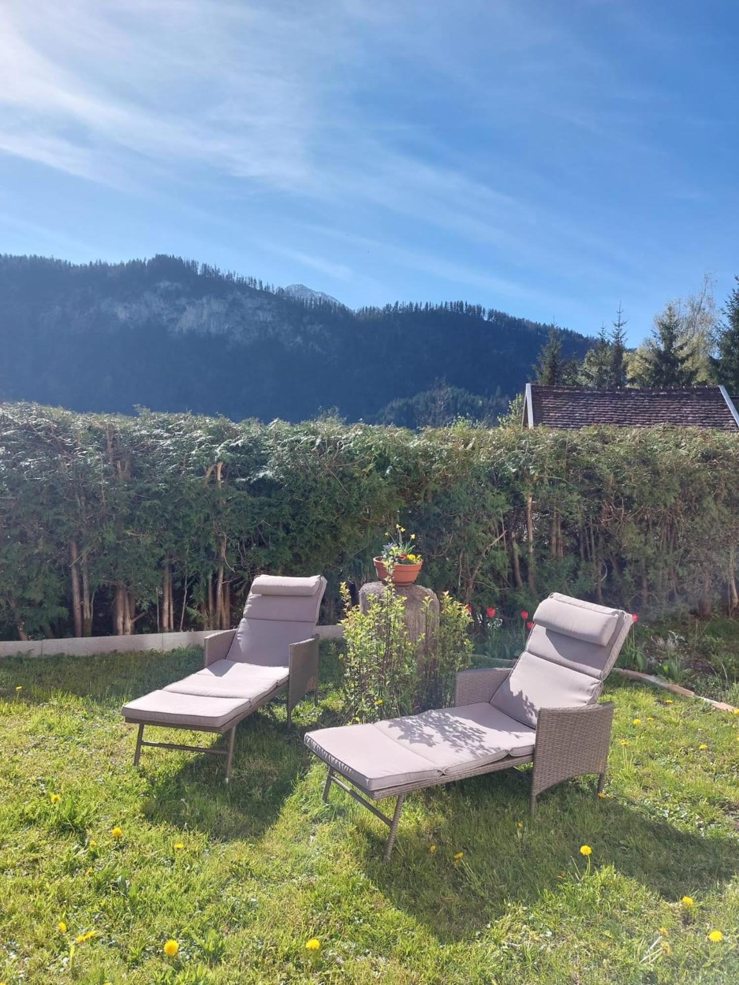 Apartment Alpapart Hornberg *
